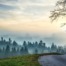 Road near a misty forest